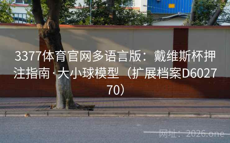 3377体育官网多语言版:戴维斯杯押注指南·大小球模型(扩展档案D602770) 第2张 3377体育官网多语言版:戴维斯杯押注指南·大小球模型(扩展档案D602770) 第2张