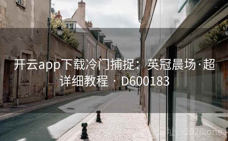 开云app下载冷门捕捉：英冠晨场·超详细教程 · D600183